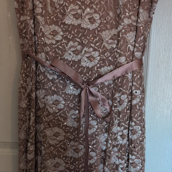 Chic Floral Lace Maxi Dress in Blush NWOT - Picture 3 of 9